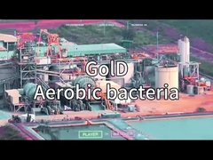 वीएसए वीपीएसए ऑक्सीजन जनरेटर